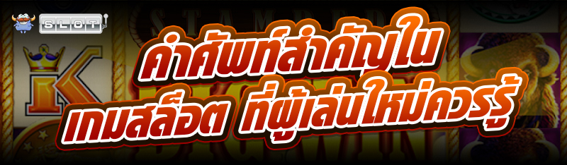 คำศัพท์สำคัญใน เกมสล็อต ที่ผู้เล่นใหม่ควรรู้